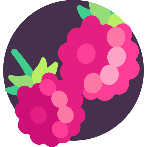 Raspberry Detailed Flat Circular Flat icon