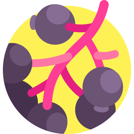 Elderberry free icon Elderberry free icon