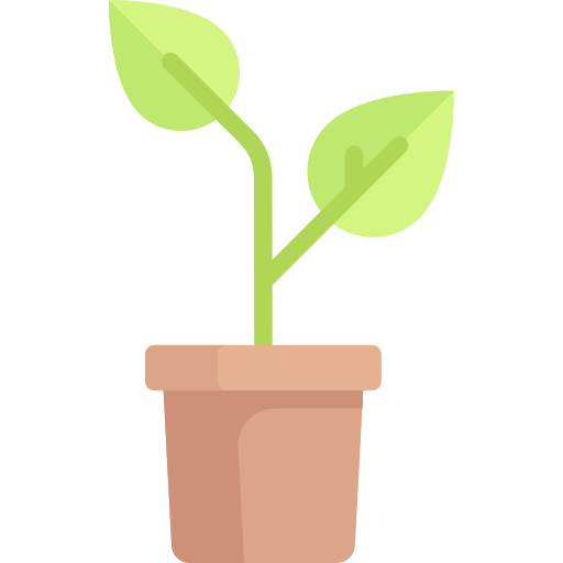 Plant Special Flat icon