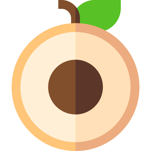 Лонган бесплатно иконка