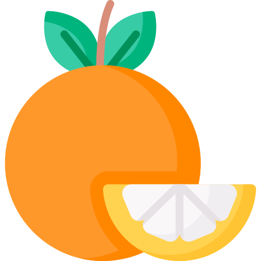 Orange Special Flat icon