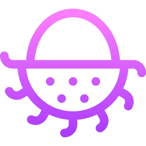 Rambutan free icon Rambutan free icon