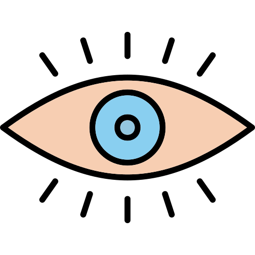 Vision Generic Outline Color icon