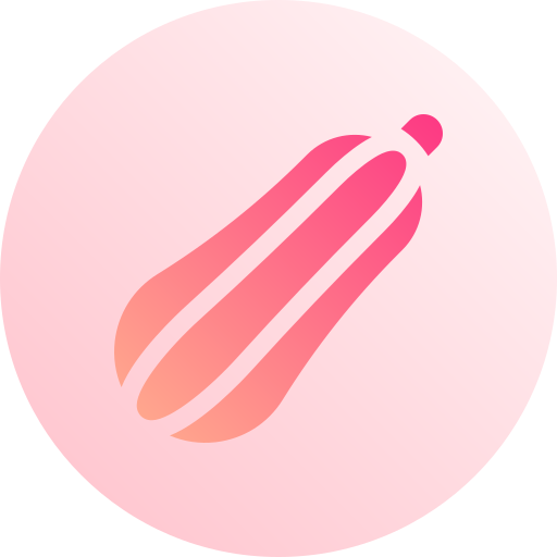 Zucchini Basic Gradient Circular icon