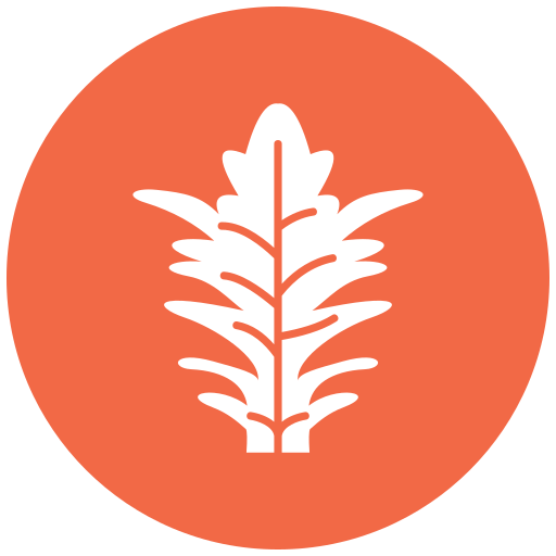 frisee бесплатно иконка frisee бесплатно иконка