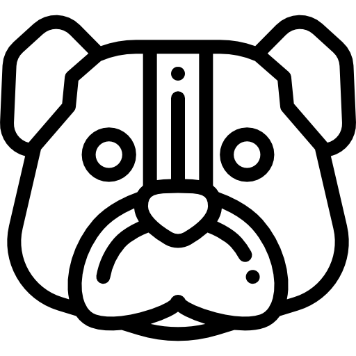 개 무료 아이콘