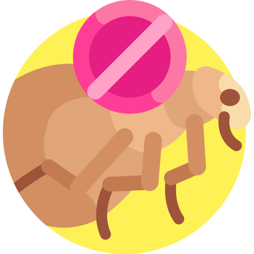 Anti flea free icon Anti flea free icon