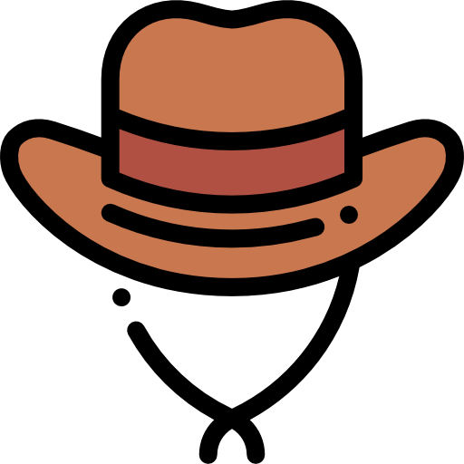 Cowboy hat Detailed Rounded Lineal color icon