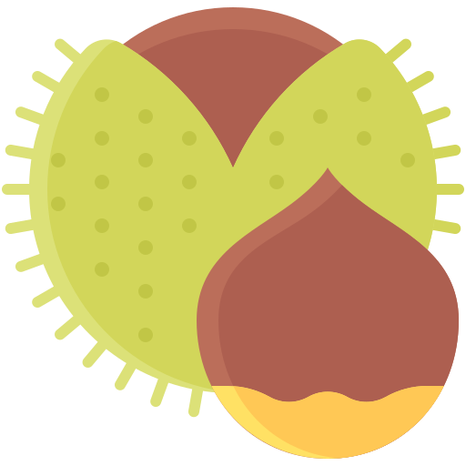castanha grátis ícone castanha grátis ícone