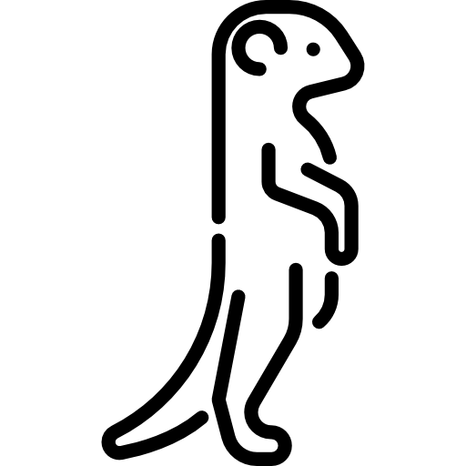 suricata icono gratis