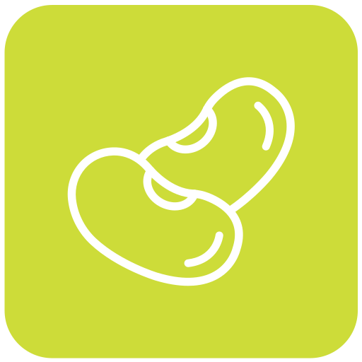 콩 무료 아이콘