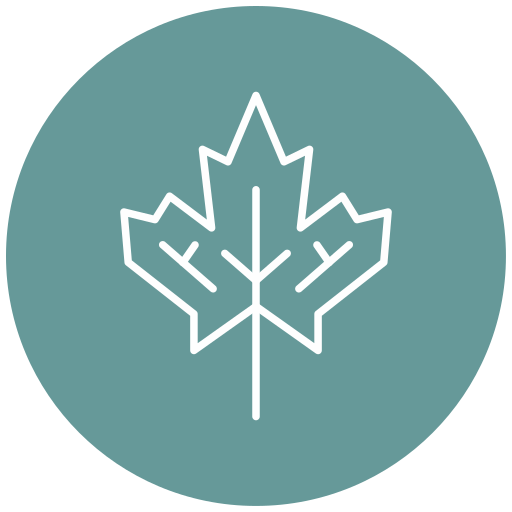 Maple free icon Maple free icon