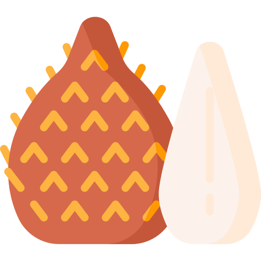 salacca grátis ícone