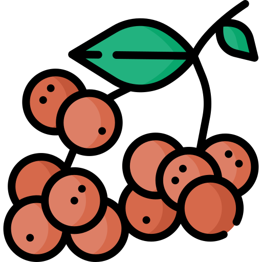 롱간 무료 아이콘