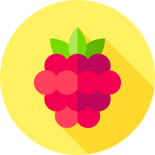 Raspberry Flat Circular Flat icon