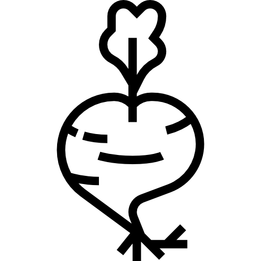 un radis Icône gratuit