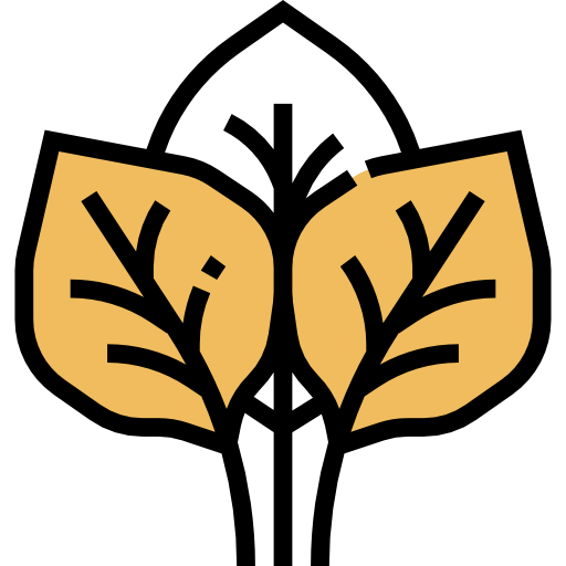 espinacas icono gratis