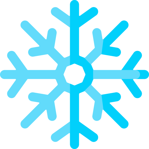 Snowflake Special Flat icon