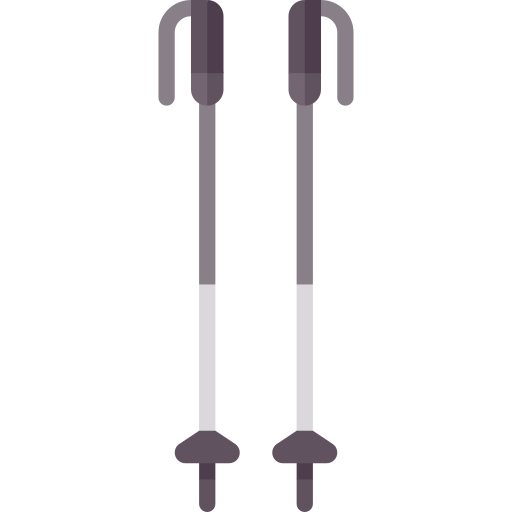 Ski Poles Special Flat Icon 3883