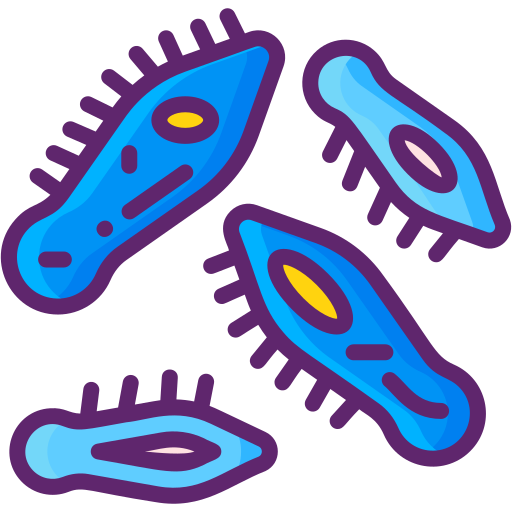 Protozoa Generic Outline Color icon