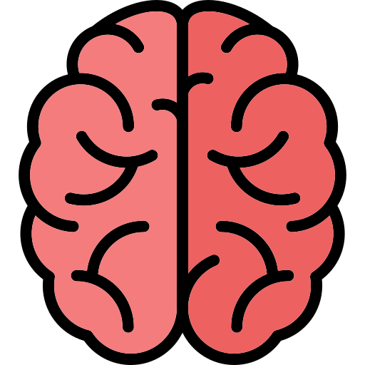 Brain Generic Outline Color icon