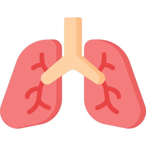 Lungs Generic Flat icon