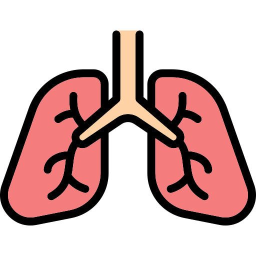 Lungs Generic Outline Color Icon