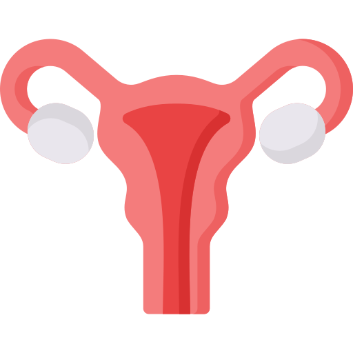 Uterus - free icon