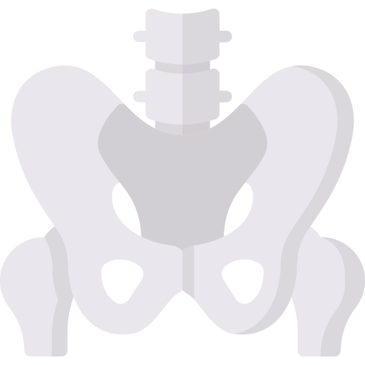 pelvis icono gratis