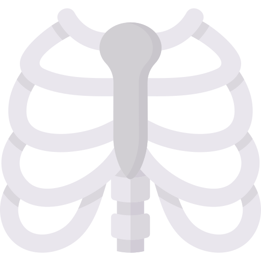 Rib Cage Generic Flat icon