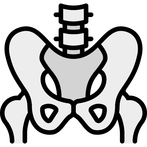 pelvis icono gratis