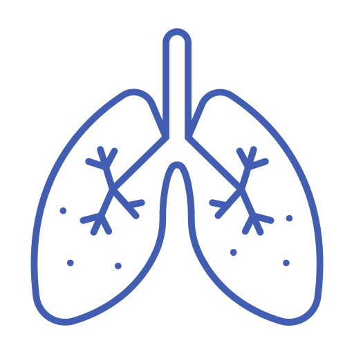 Lungs Generic Simple Colors icon