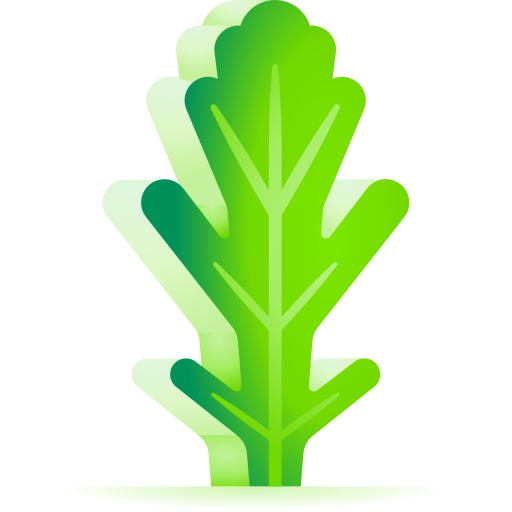 Руккола бесплатно иконка