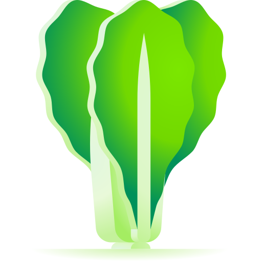 lechuga icono gratis