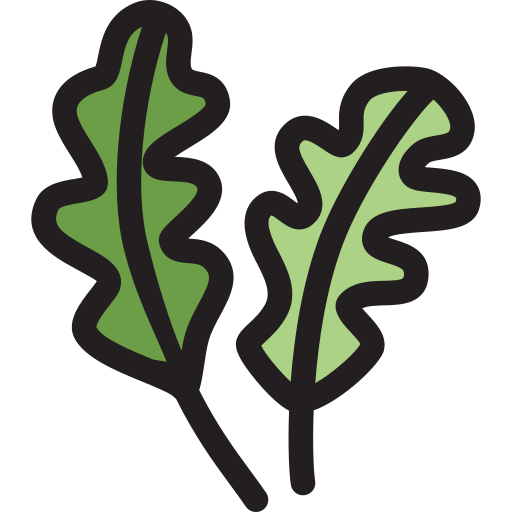 Руккола бесплатно иконка