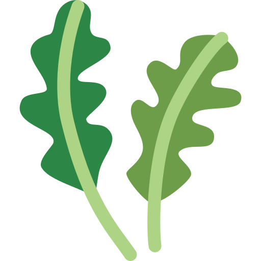 Руккола бесплатно иконка