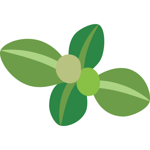 Thyme free icon