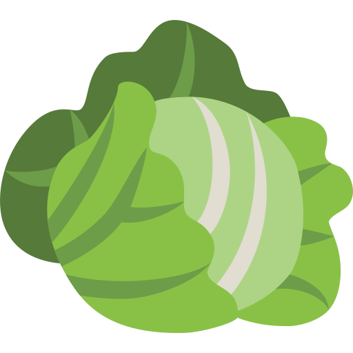 Cabbage free icon Cabbage free icon