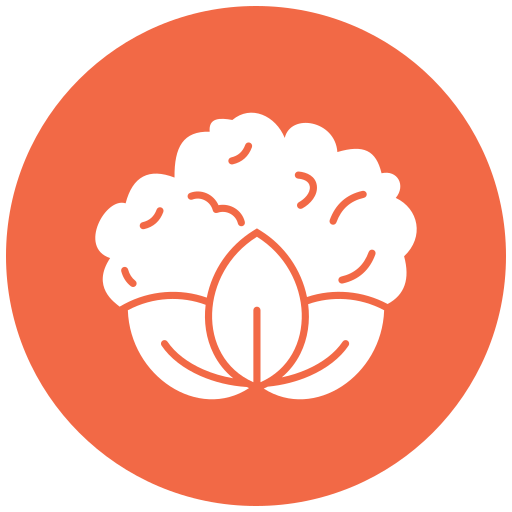 coliflor icono gratis