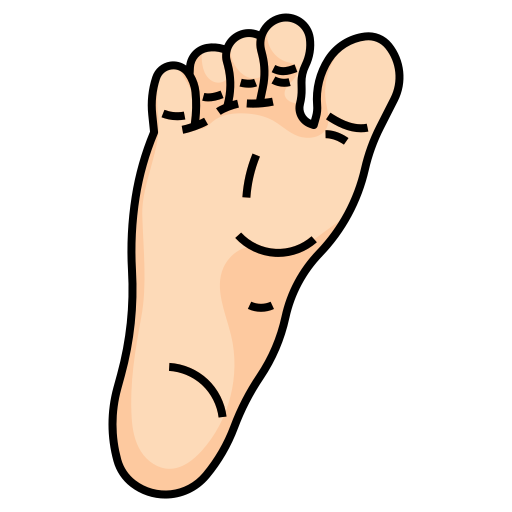 Feet Generic Outline Color icon