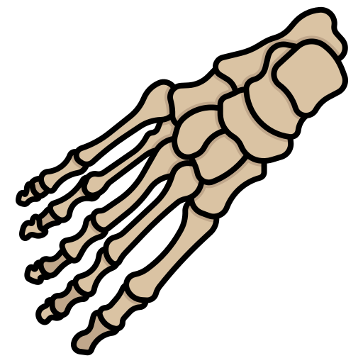 Bones Generic Outline Color icon