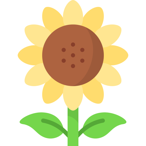 girasol icono gratis