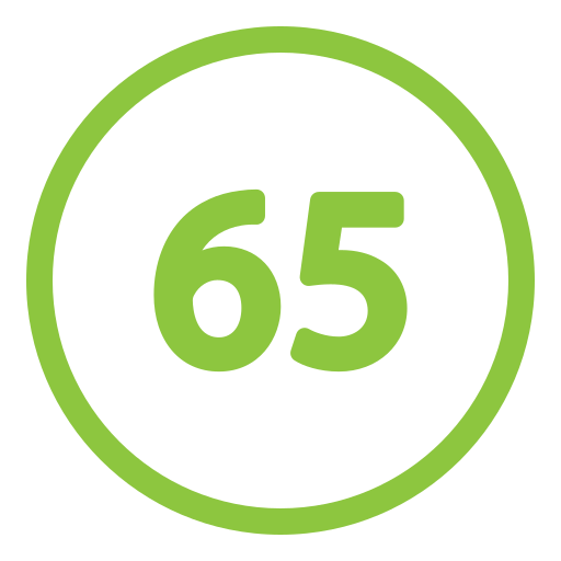 65 kostenlos Icon