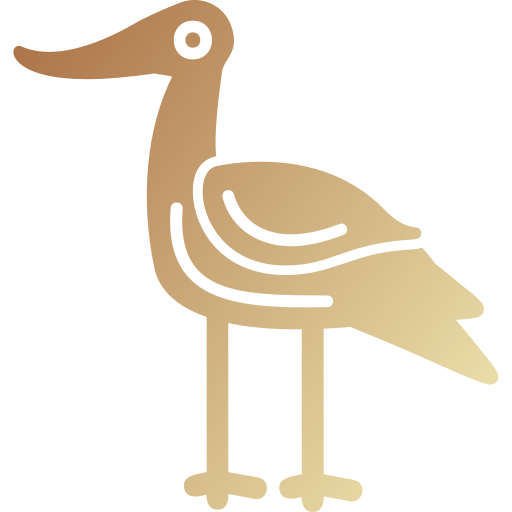 avocet 무료 아이콘