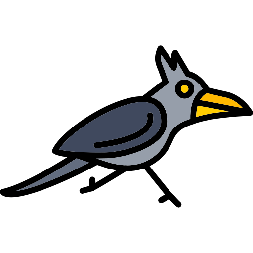 roadrunner kostenlos Icon
