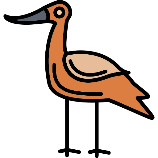 avocet grátis ícone