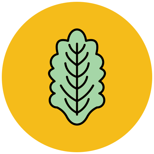 salat kostenlos Icon salat kostenlos Icon