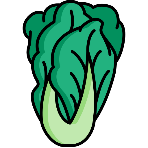 chinese cabbage clipart