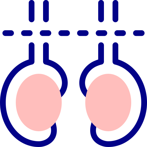 Vasectomía icono gratis