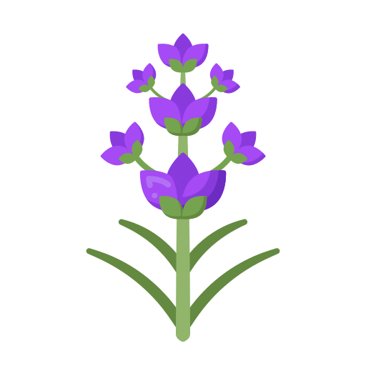 Лаванда бесплатно иконка